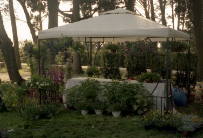 botanica foto1.jpg (144.25 KiB) Osservato 763 volte botanica foto1.jpg