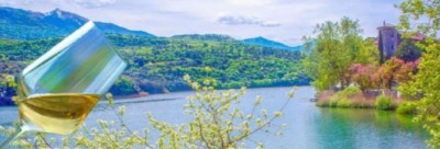 nosiola.jpg (46.76 KiB) Osservato 704 volte nosiola.jpg