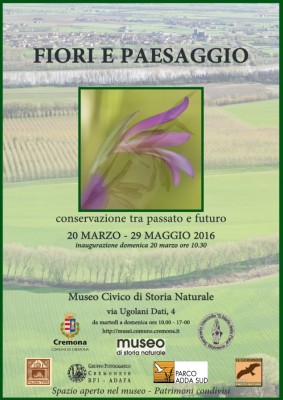 fiori-paesaggio.jpg (183.09 KiB) Osservato 635 volte fiori-paesaggio.jpg