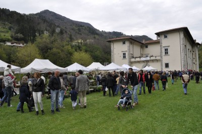 Enolia 2015 a.jpg (305.15 KiB) Osservato 576 volte Enolia 2015 a.jpg