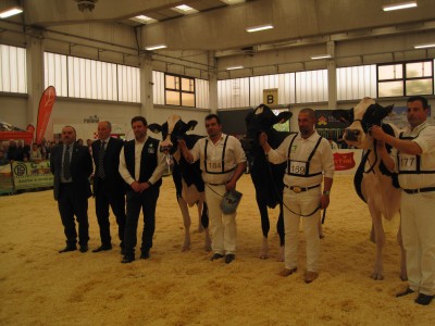 Foto 1 Da destra: Gerboise, a cui è andato il trofeo di campiionessa. A seguire StanleyCup White, a cui è andato il titolo di Riserva e infine Alexander Epica che si è aggiudicata la Menzione d’onore / foto 1.JPG foto 1.JPG