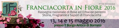 intestazione01.jpg (80.97 KiB) Osservato 677 volte intestazione01.jpg
