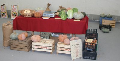 003IMG_2101.jpg (127.33 KiB) Osservato 1367 volte 003IMG_2101.jpg