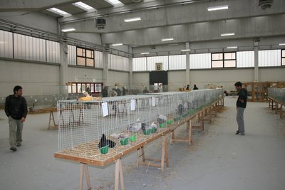 004IMG_2053.jpg (170.98 KiB) Osservato 1367 volte 004IMG_2053.jpg