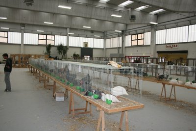 005IMG_2054.jpg (183.69 KiB) Osservato 1367 volte 005IMG_2054.jpg