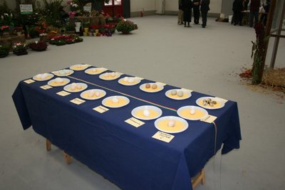 006IMG_1887.jpg (147.06 KiB) Osservato 1367 volte 006IMG_1887.jpg