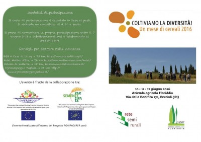 Peccioli2016.jpg (71.7 KiB) Osservato 513 volte Peccioli2016.jpg