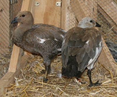 IMG_2011.jpg (282.76 KiB) Osservato 1366 volte IMG_2011.jpg