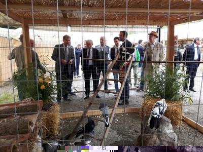 visita fam.jpg (174.08 KiB) Osservato 668 volte visita fam.jpg