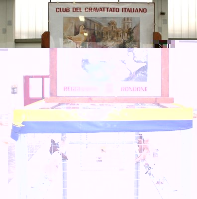 IMG_2039a.jpg (264.52 KiB) Osservato 1361 volte IMG_2039a.jpg