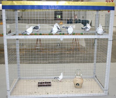 IMG_2040.jpg (270.67 KiB) Osservato 1361 volte IMG_2040.jpg