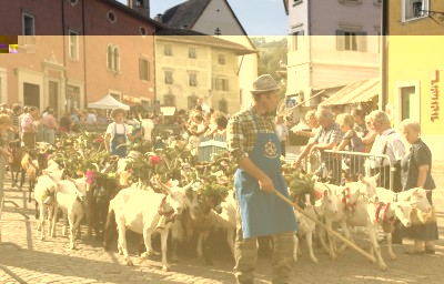 val-di-fiemme-10569-cavalese-desmontegada-de-le-caore.jpg (145.85 KiB) Osservato 629 volte val-di-fiemme-10569-cavalese-desmontegada-de-le-caore.jpg