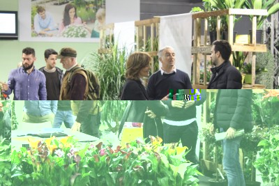 Immagini 175.jpg (145.19 KiB) Osservato 542 volte Immagini 175.jpg