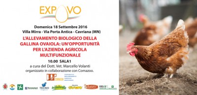 save domenica.jpg (143.52 KiB) Osservato 555 volte save domenica.jpg