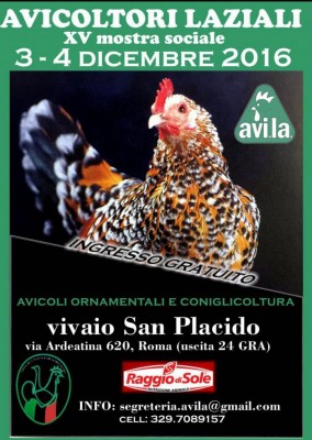 avila.jpg (111.81 KiB) Osservato 580 volte avila.jpg