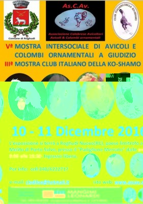 FB_IMG_1479286410581.jpg (123.47 KiB) Osservato 828 volte FB_IMG_1479286410581.jpg