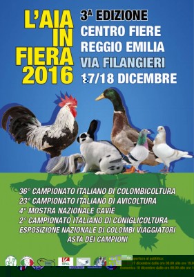 Manifesto_Aia_in_Festa_2016 (1).jpg (97.01 KiB) Osservato 721 volte Manifesto_Aia_in_Festa_2016 (1).jpg