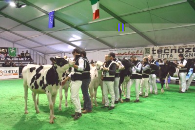 mostrabovina2_pic.jpg (108.89 KiB) Osservato 652 volte mostrabovina2_pic.jpg