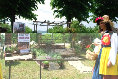 monferrina e luparia.JPG (165.85 KiB) Osservato 606 volte monferrina e luparia.JPG