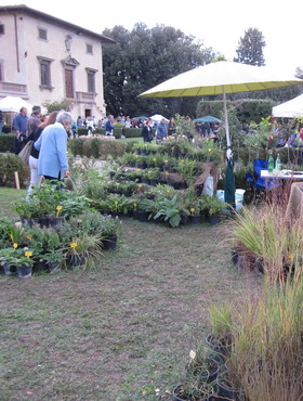 botanica ridotta.jpg botanica ridotta.jpg