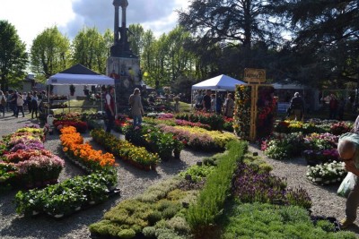 fiorinfiera 2016 1.jpg (167.06 KiB) Osservato 943 volte fiorinfiera 2016 1.jpg