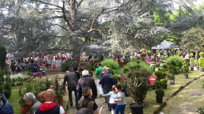 fiorinfiera 2016 2.jpg (153.16 KiB) Osservato 943 volte fiorinfiera 2016 2.jpg