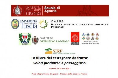 17191478_1106670352789702_1329355798444930618_n.jpg (28.25 KiB) Osservato 551 volte 17191478_1106670352789702_1329355798444930618_n.jpg