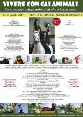 17390784_311581222589639_8349468452021048480_o (1).jpg (142.24 KiB) Osservato 618 volte 17390784_311581222589639_8349468452021048480_o (1).jpg