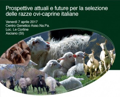 prospettive.jpg (104.05 KiB) Osservato 495 volte prospettive.jpg