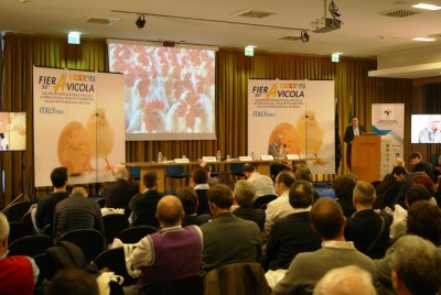 Sipa.JPG (86.82 KiB) Osservato 694 volte Sipa.JPG