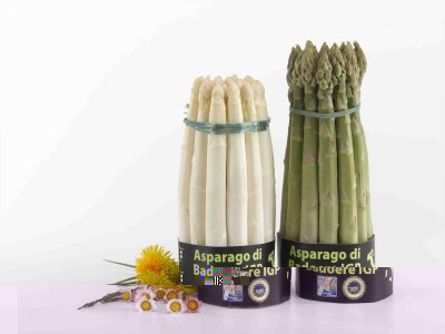 IMMAGINE asparago badoere.jpg (38.02 KiB) Osservato 1003 volte IMMAGINE asparago badoere.jpg