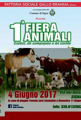 signa.jpg (96.28 KiB) Osservato 620 volte signa.jpg