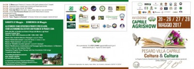 depliant1.jpg (71.21 KiB) Osservato 592 volte depliant1.jpg