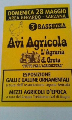 18519568_10212545593025235_6757948264446844092_n.jpg (65.67 KiB) Osservato 596 volte 18519568_10212545593025235_6757948264446844092_n.jpg