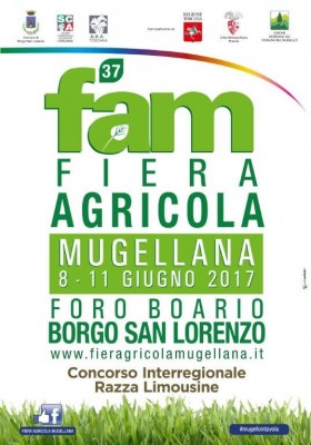 fam2017.jpg (110.7 KiB) Osservato 926 volte fam2017.jpg