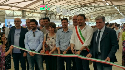 fiera 1.jpg (99.74 KiB) Osservato 651 volte fiera 1.jpg