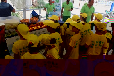 IMG_9399.JPG (101.99 KiB) Osservato 786 volte IMG_9399.JPG