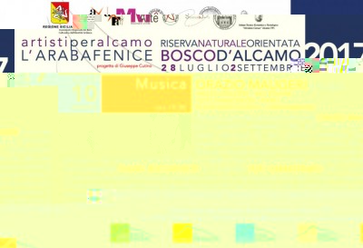20170710_Arabafenice_2017_10agosto.jpg (133.75 KiB) Osservato 541 volte 20170710_Arabafenice_2017_10agosto.jpg