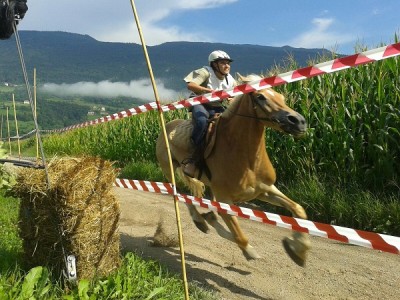 rassegnastrembo-2017.jpg (154.8 KiB) Osservato 569 volte rassegnastrembo-2017.jpg