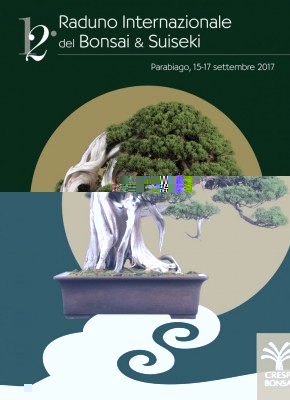 CRESPI BONSAI_Locandina 12° Raduno.jpg (75.57 KiB) Osservato 657 volte CRESPI BONSAI_Locandina 12° Raduno.jpg