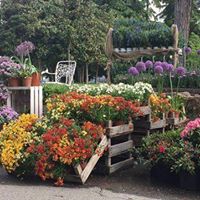 foto Frutti Rari_n.jpg foto Frutti Rari_n.jpg