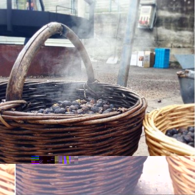 @aroud&abouttreviso.JPG (62.84 KiB) Osservato 626 volte @aroud&abouttreviso.JPG