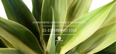 myp.jpg (55.13 KiB) Osservato 1171 volte myp.jpg