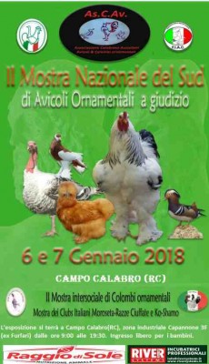 20171202_081938.jpg (30.46 KiB) Osservato 1185 volte 20171202_081938.jpg