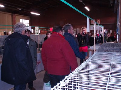 mostra3.JPG (182.19 KiB) Osservato 711 volte mostra3.JPG