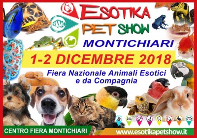 exotica.jpg (148.45 KiB) Osservato 404 volte exotica.jpg