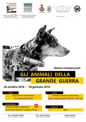 AnimaliGG - locandina_A3.jpg (89.86 KiB) Osservato 1022 volte AnimaliGG - locandina_A3.jpg