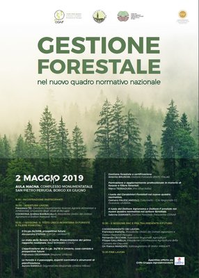 gestione-forestale.jpg (184.94 KiB) Osservato 642 volte gestione-forestale.jpg