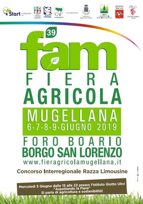 fam.jpg (133.31 KiB) Osservato 744 volte fam.jpg