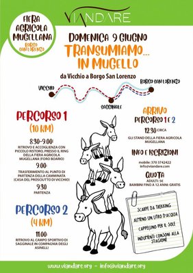 transumanza.jpg (109.19 KiB) Osservato 685 volte transumanza.jpg